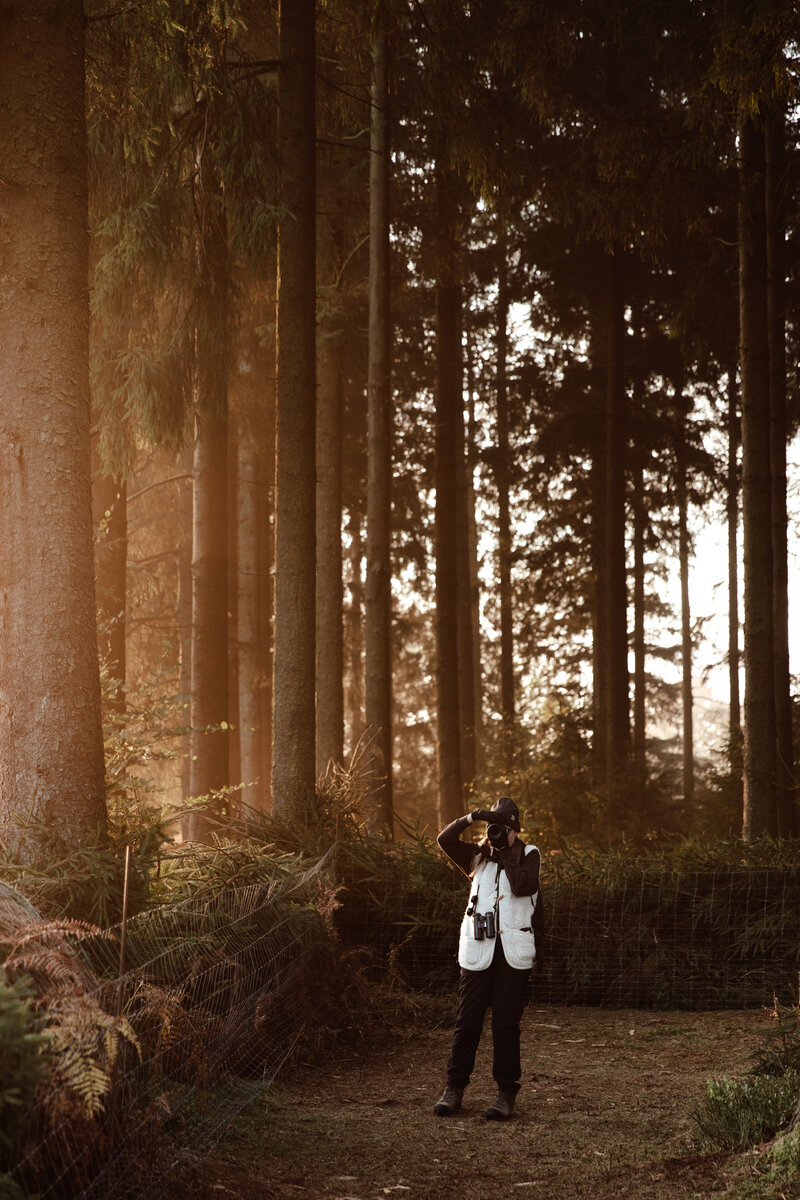 JolijnGommansPhotography_WilderlandsoftheArdennes_okt2025-7