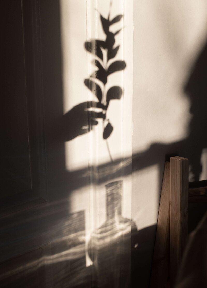 Shadow on the wall of glass vase with plant branch