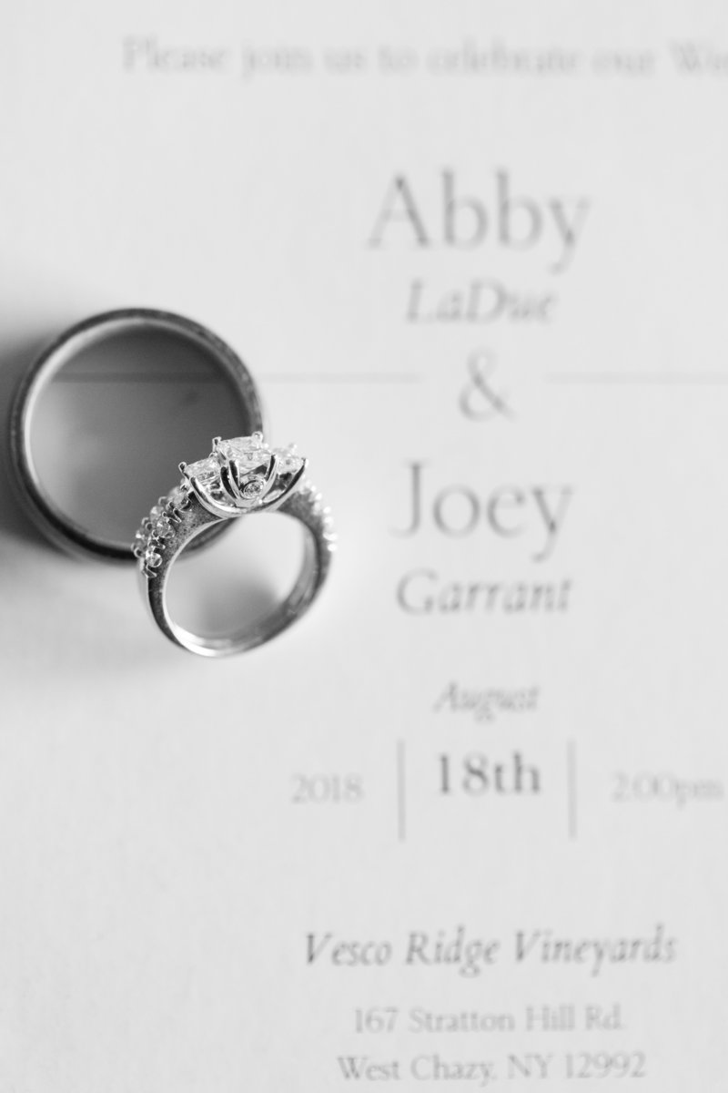 Abby and Joey Wedding_0073
