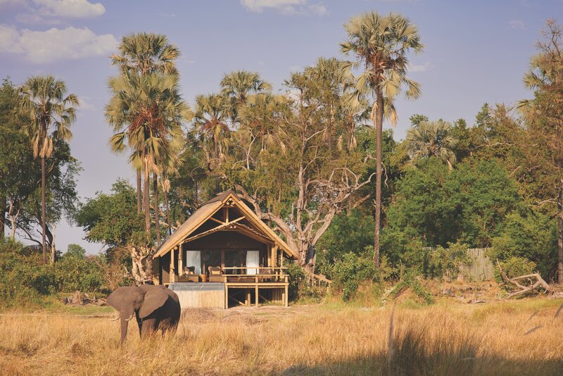 A serene safari lodge nestled in Botswana’s Okavango Delta, with an elephant grazing in the golden grass at sunset. 