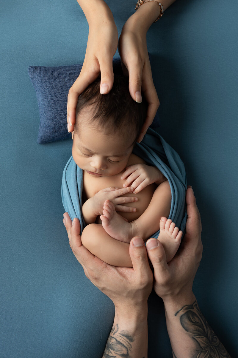 Newborn baby boy is posed on a blue blanket with his parent's hands in a photography studio in Tucson