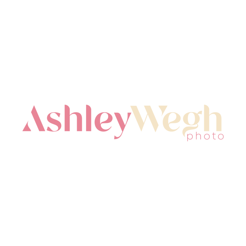 ckdesign-ashleywegh-logo-horizontal-color