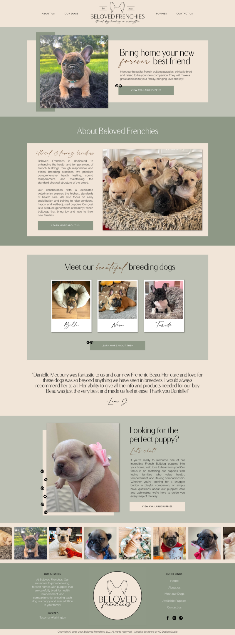 Featured website design project for Beloved Frenchies in Tacoma, Washington created by AQ Design Studio