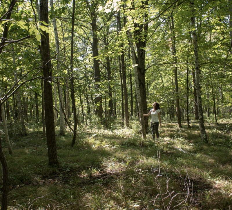 Willard-WI-Spiritual-Wellness-Retreat