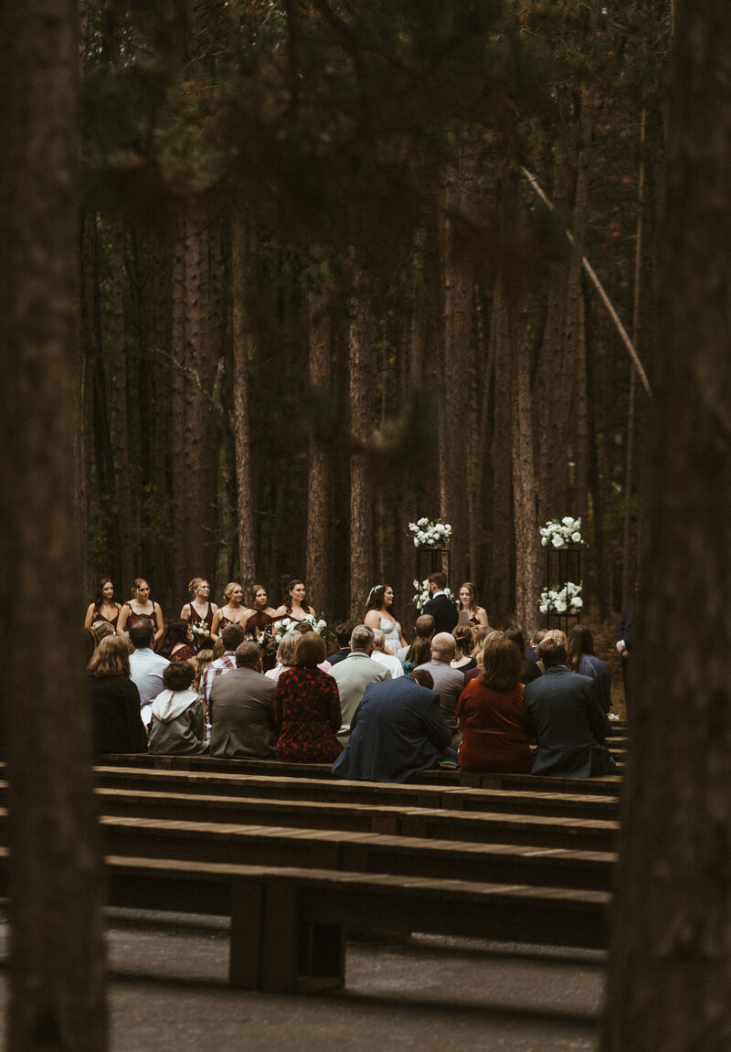 northern-minnesota-wedding-6