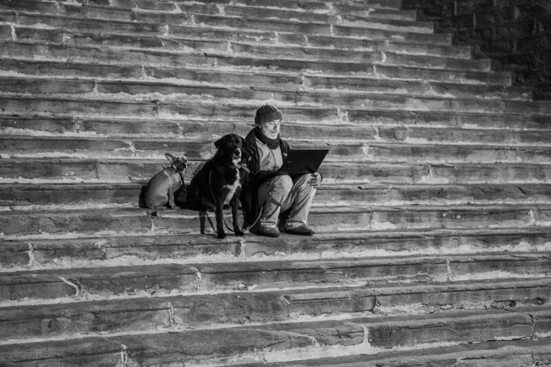 man and dogs on laptop on stairs Cortona, Italy