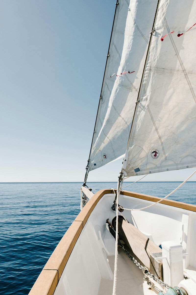 Bug eines Segelbootes mit zwei geöffneten Vorsegeln in Nahaufnahme auf dem Meer