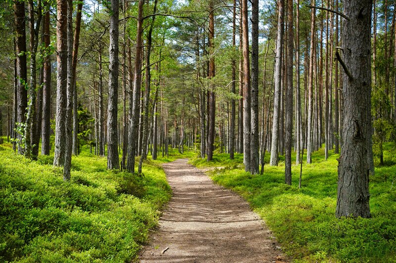 Next Path Health Coaching | Build Habits That Last