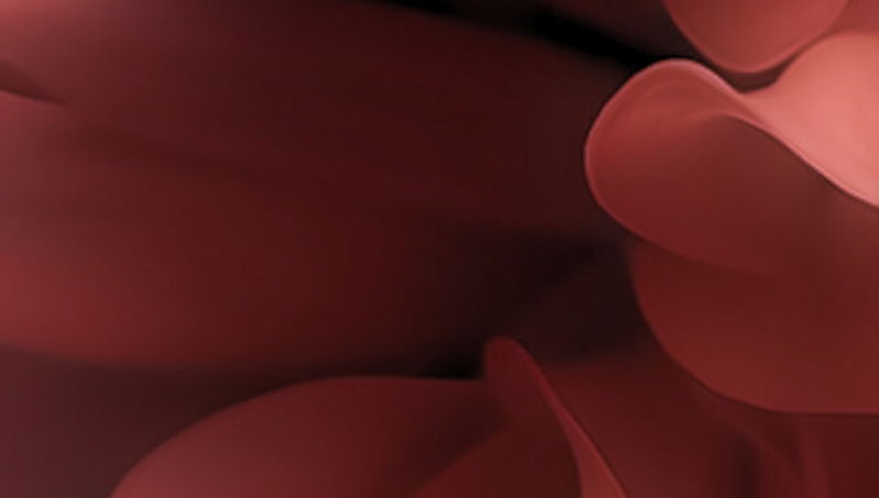 Feminine-Energy-Tosca-Peric-Online-Course-Feminine-LeadershipFeminine Energy Mentorship Feminine Embodiment Self-Love Best Retreats Europe For Women Retreats Tantra For Women Feminine Embodiment Empowerment Retreat Women Wellness Retreats Goddess Retreats Tosca Peric Leadership Blog Self-Love Blog