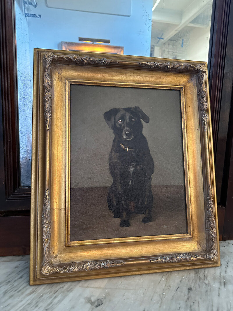 2024 LUXE Painted Portraits Lab Dog Painting Framed Florentine_0408 Web
