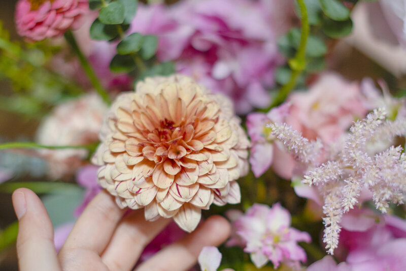 pink-flower-bouquet-2023-11-27-04-56-22-utc