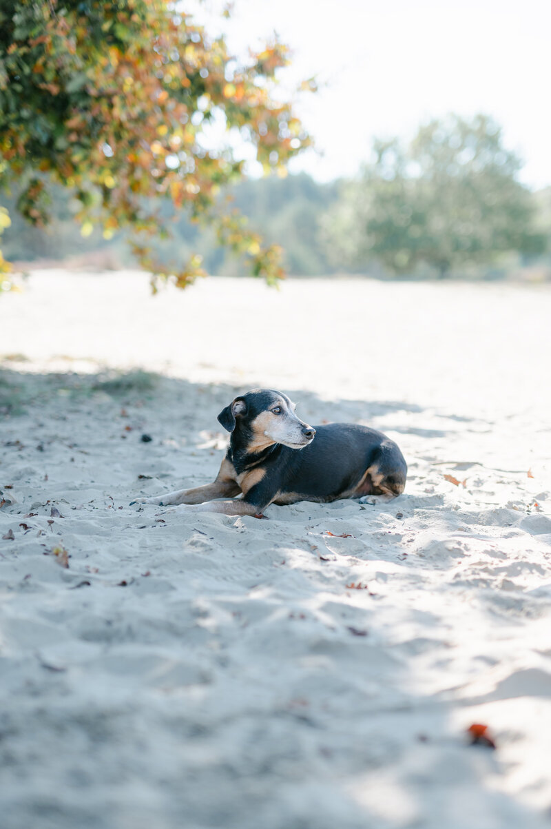 LindavandeWielfotografie-52