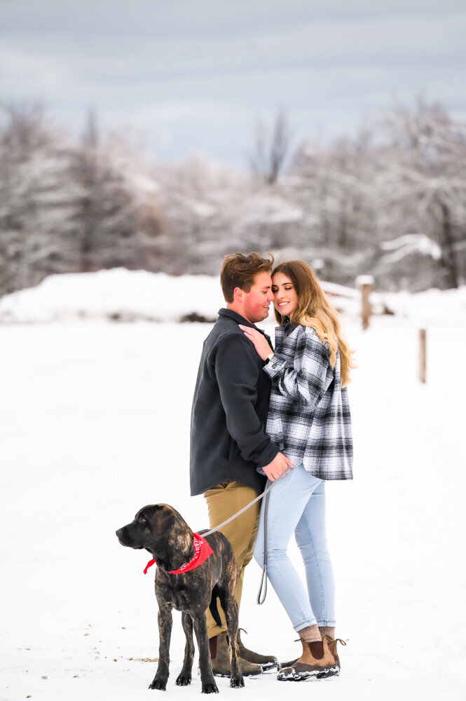 winter engagement photography on top of blue mountain with dog
