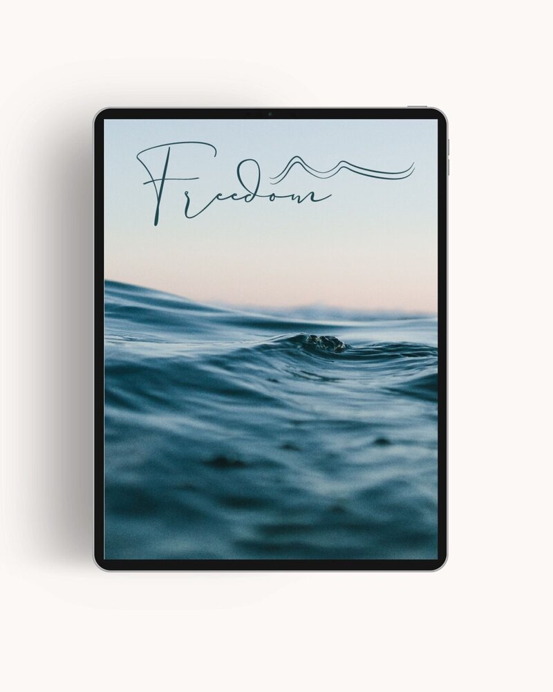 branding mockup for Freedom