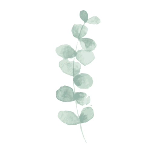 We use Eucalyptus essential oils