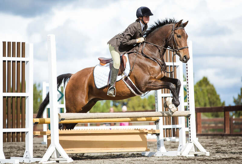20190928_kya-photography-equestrian-photographer_0001