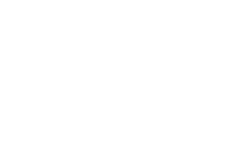 The Extraordinary Foundation white logo