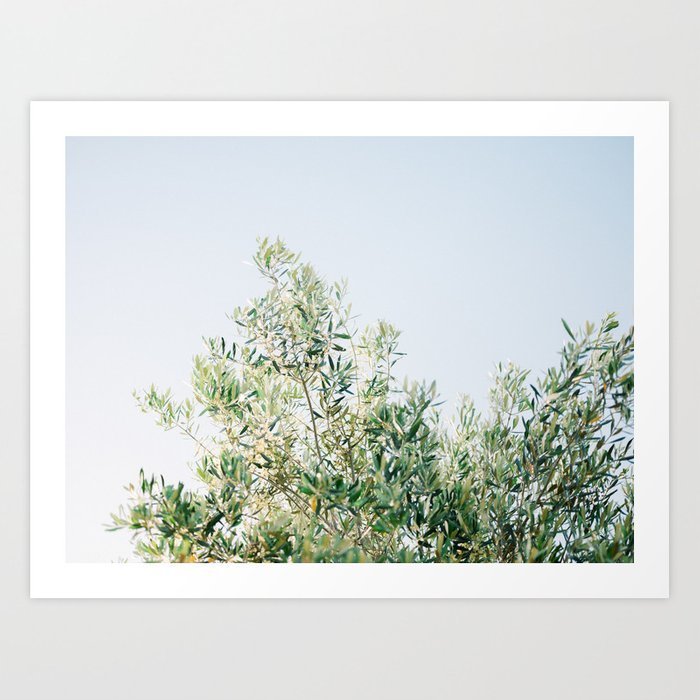 the-olive-tree-italy-fine-art-travel-photography-ostuni-art2132363-prints