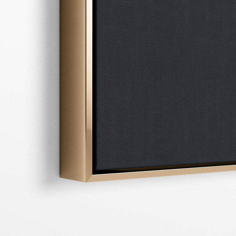 Fine Art Canvas with a gold frame featuring Project Stardust micrometeorites collected and photographed by Jon Larsen and Jan Braly Kihle_Black Edit