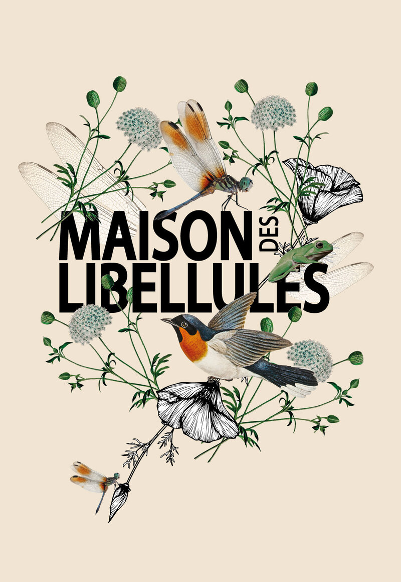 Clique ici pour voir le travail de graphisme crée pour la Maison des libellules, par le STudio Youmé, creation graphique vendee