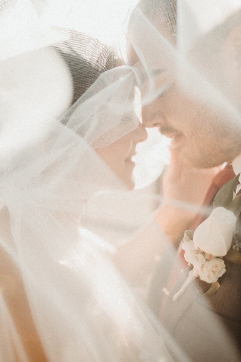 Romantic editorial wedding portrait of a couple under a veil at golden hour, captured in soft natural light during a luxury Charleston South Carolina wedding at Middleton Place.

