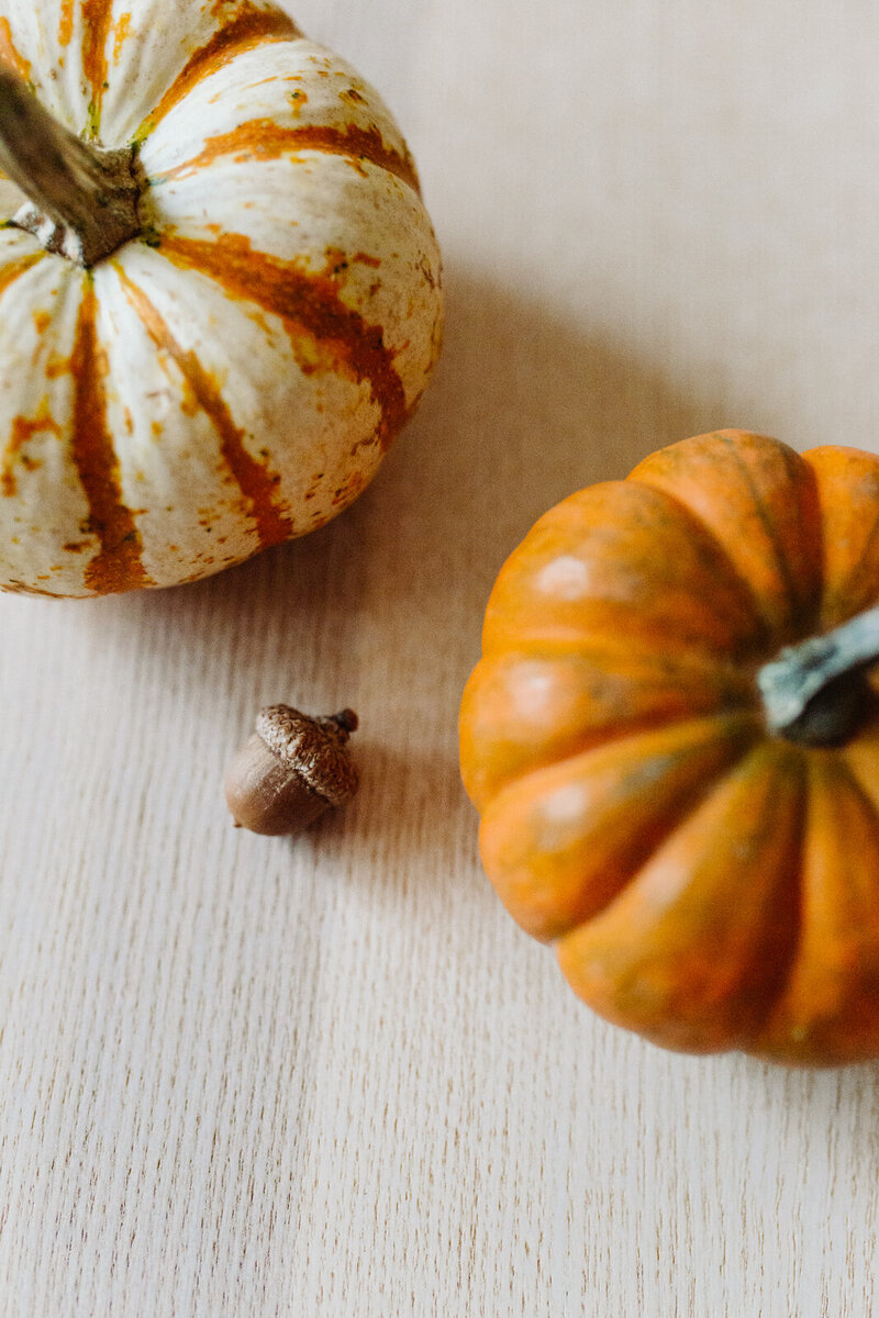 danielle-motif-thanksgiving-1