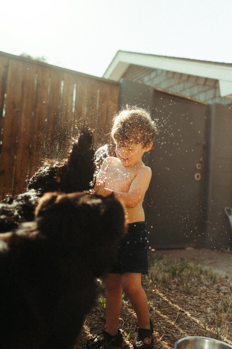 Toddler boy playing with his dogs and water balloons.