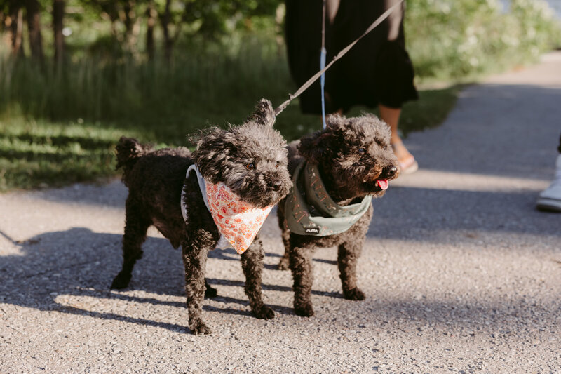 Ricky+Ernie_DanicaOlivaPhotos_4