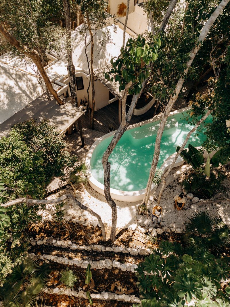 pool-through-leaves