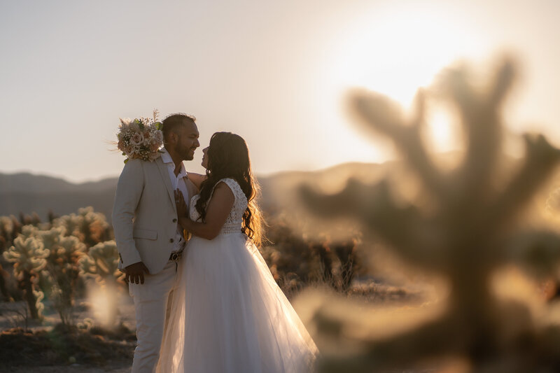 Joshua Tree Elopement Bride and Groom sunset silhouette at Cholla Cactus Garden.