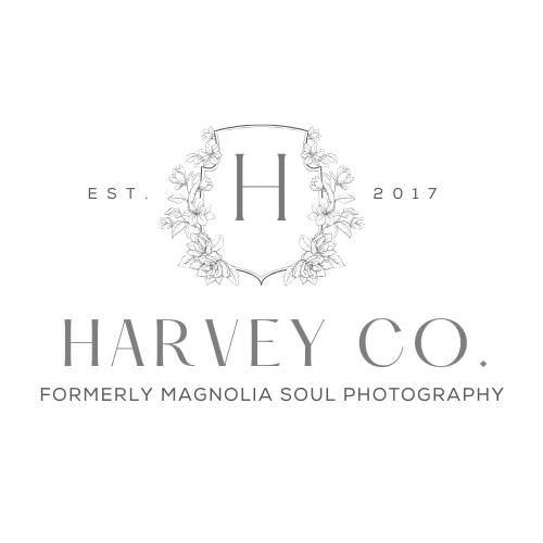 Logo for Magnolia Soul