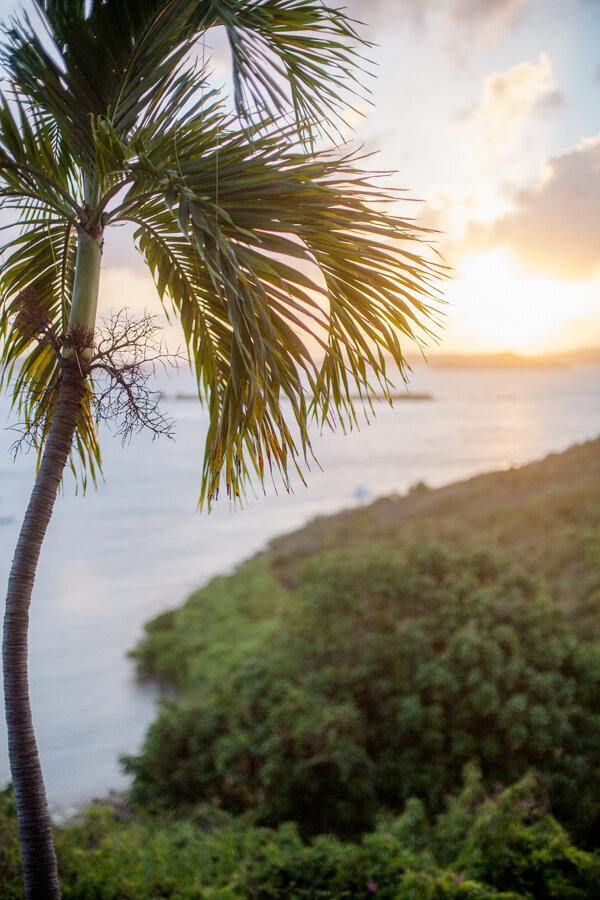 St. John Wedding Photography-47