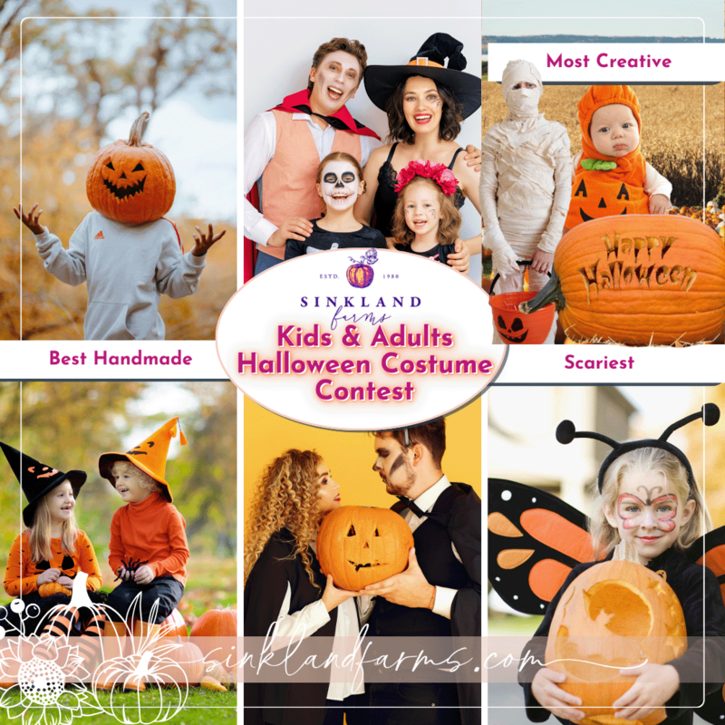 2024Sinkland-Farms_Pumpkin-Festival_Creative-Designs-by-Renee_Halloween-Costume-Contest