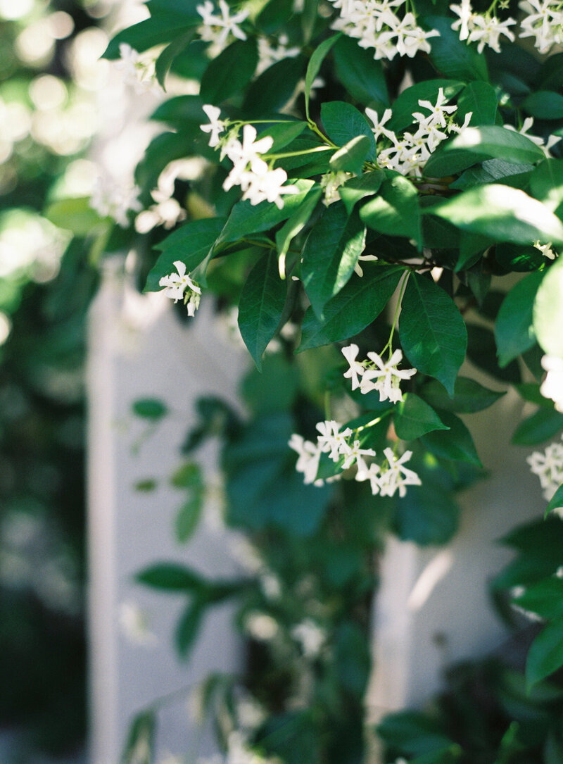 Spicers Guesthouse Hunter Valley Wedding Venue for an elegant white Spring Australia wedding - Sheri McMahon Fine Art Film Destination Wedding Photographer-51