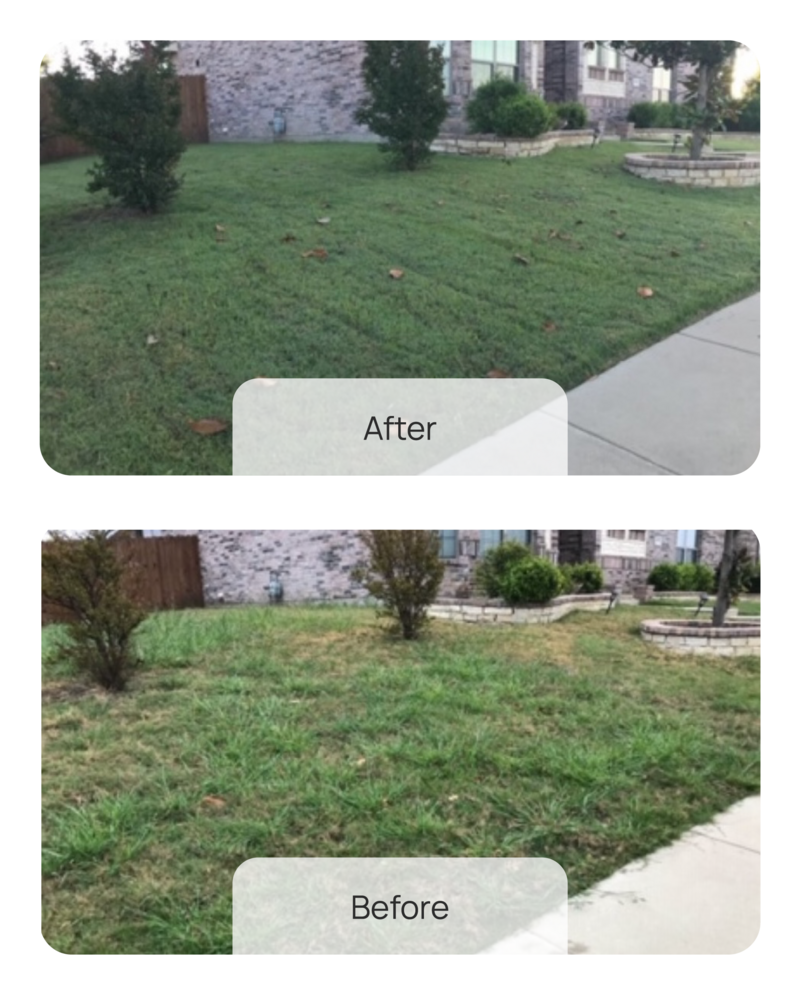 Five Star Fertilizing Before & After - 5