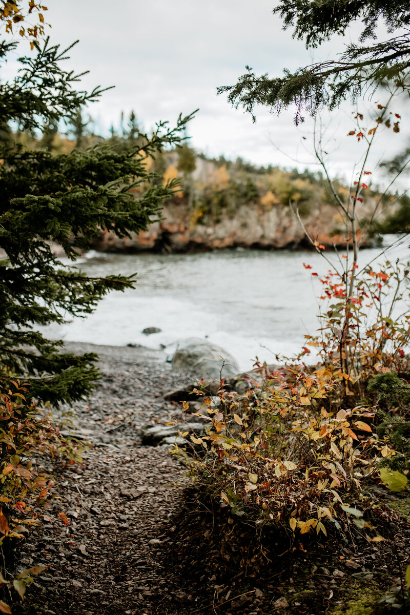 Fall foliage in Minnesota's North Shore along Lake Superior photographed by Emmie Verdell Photo
