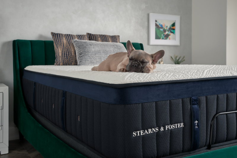 Upgrade your sleep experience with a Stearns and Foster mattress renowned for its craftsmanship.