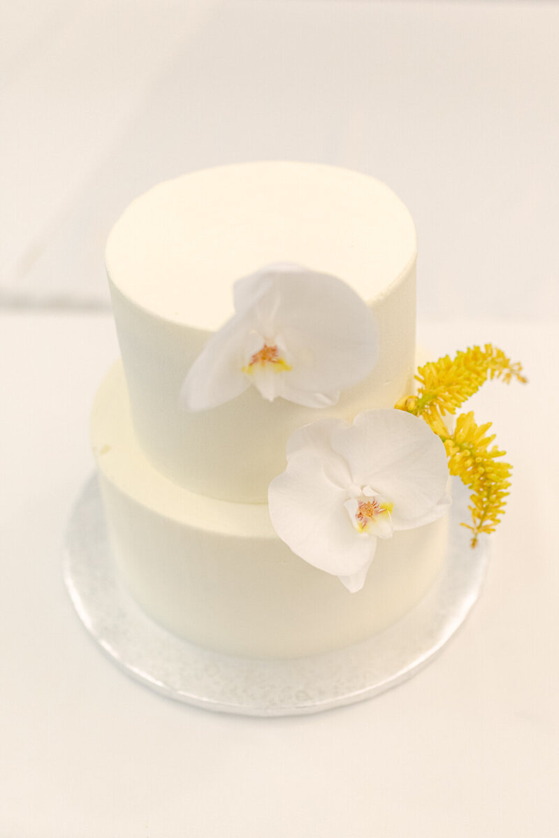 D+M_oponice_web-620