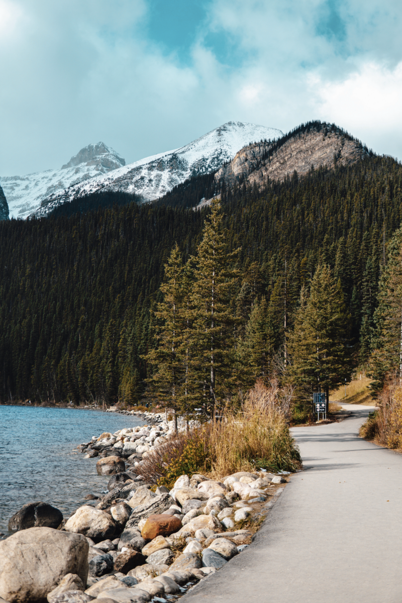 Screenshot 2024-12-23 at 9.14.30 PM