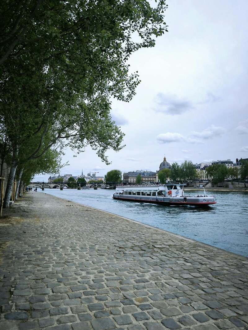 Travel down the Rhine River anytime of year