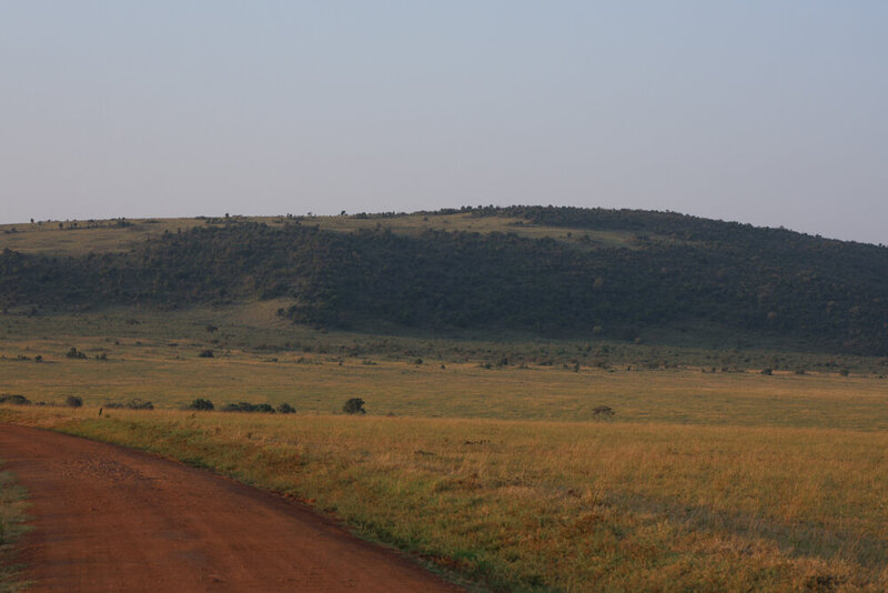 safariedited-238