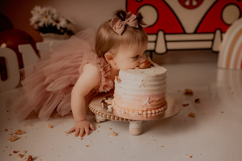 The Woodlands little girl eating cake photos