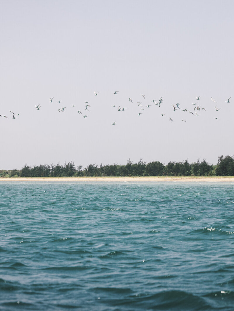 LEILA-BREWSTER-PHOTOGRAPHY-SAILING-0350