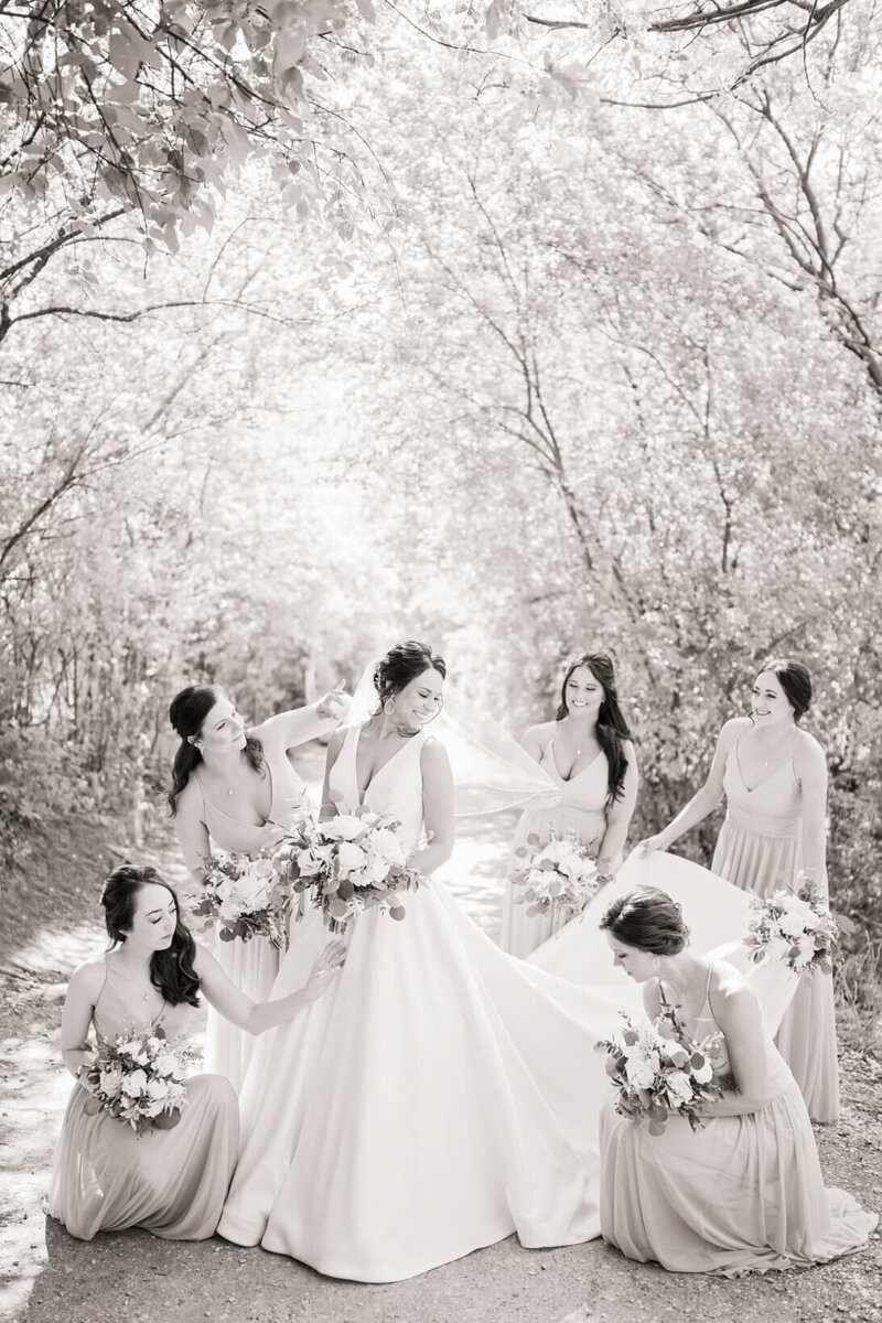 bride and bridemaids wedding photography in oshkosh