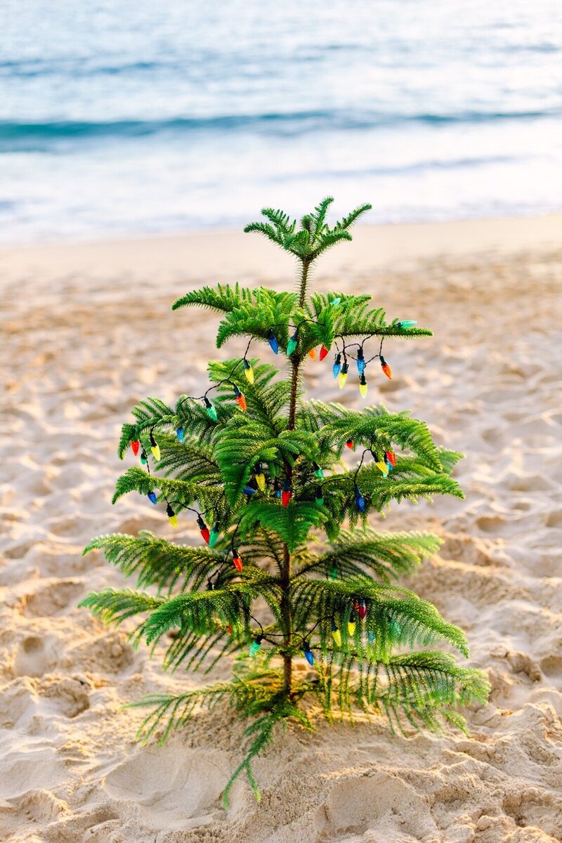 Maui Christmas family beach photo session-3