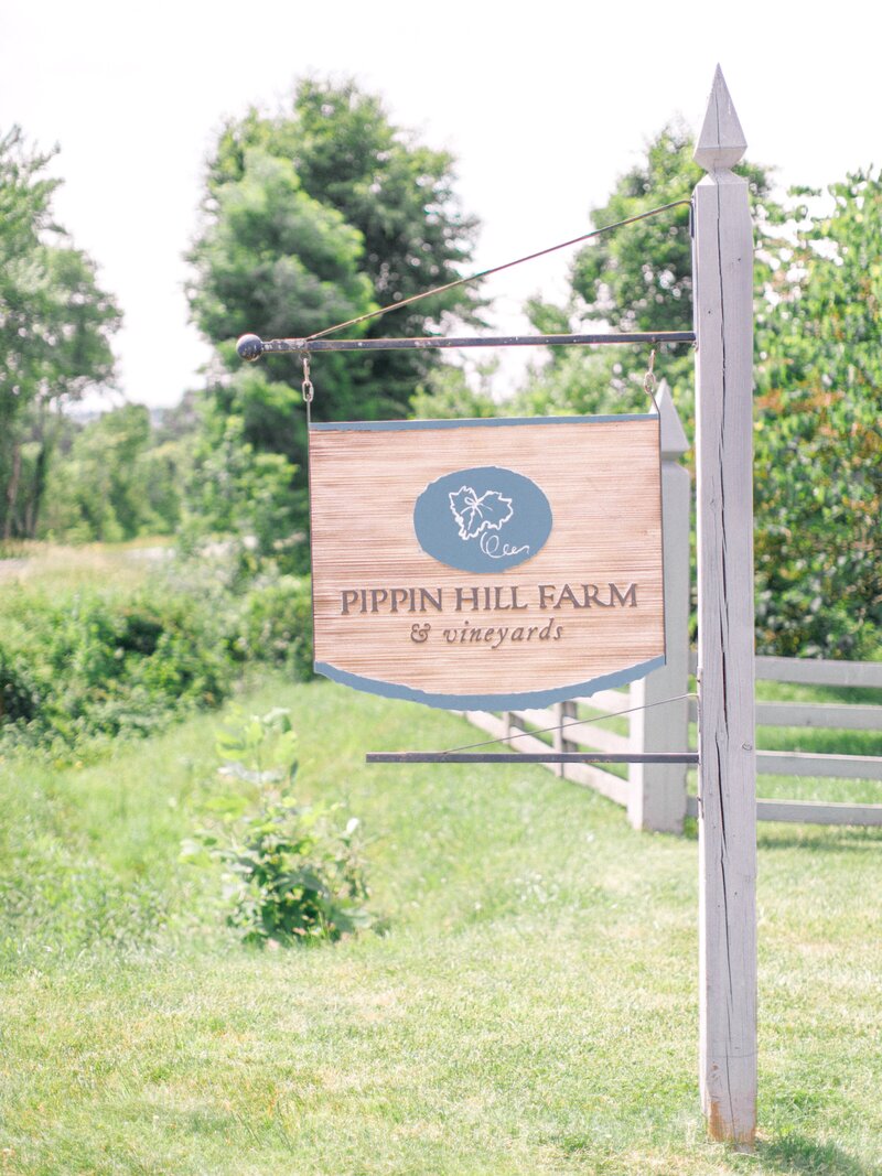 Pippin Hill Wedding Charlottesville Virginia Photographer_15