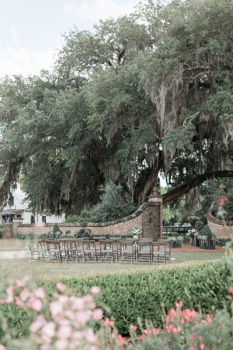Boone-hall-wedding-mount-pleasant-vanessa-cyler114281
