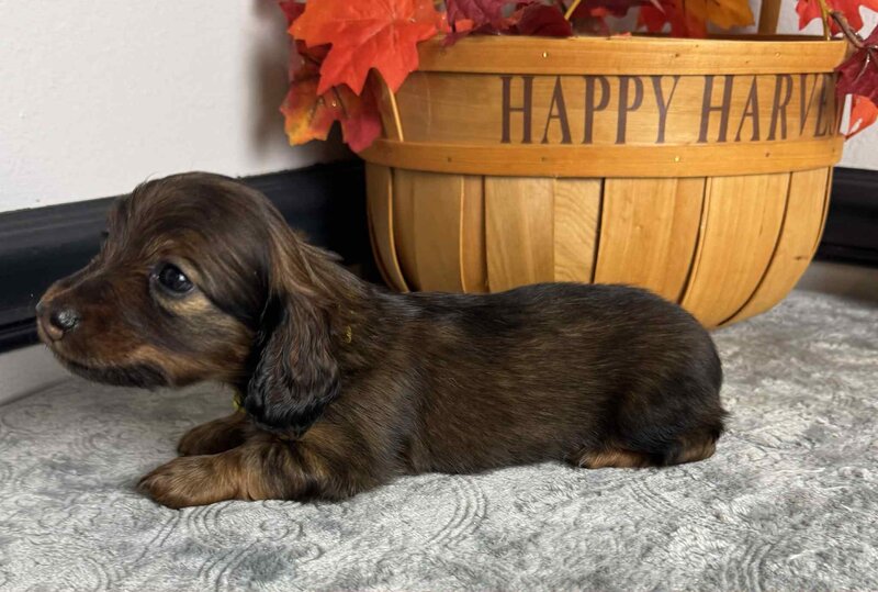 f5527e33-8617-4cc4-9ea8-2531283fdab6