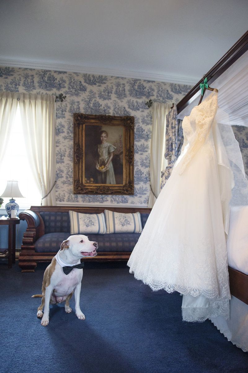 JandDstudio-antrim-1844-maryland-wedding-photography-weddingdress-dog