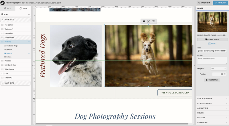 ShowIt Website Tool Interface Preview with pet photography template